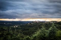 IMG_3644