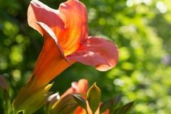 023_MG_6865